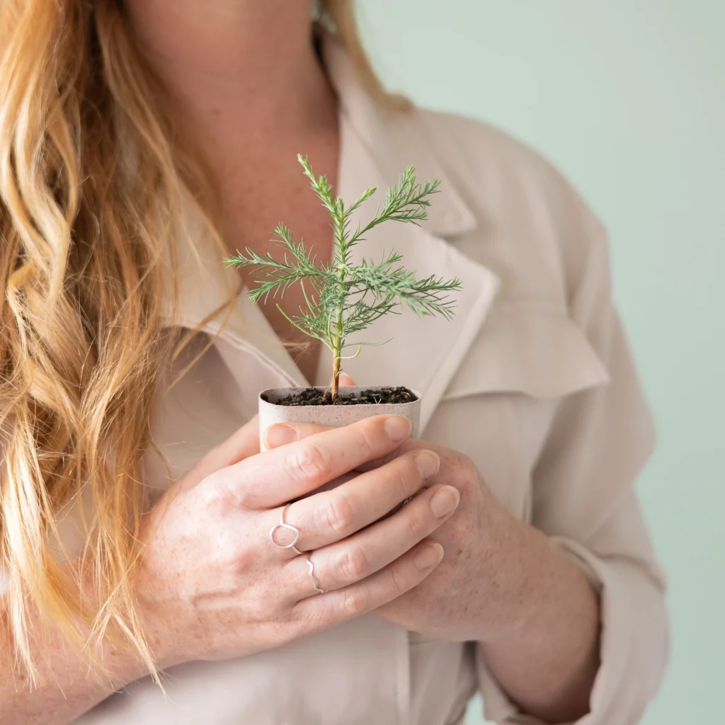 Treemore and Rodenburg biodegradable biobased flowerpots